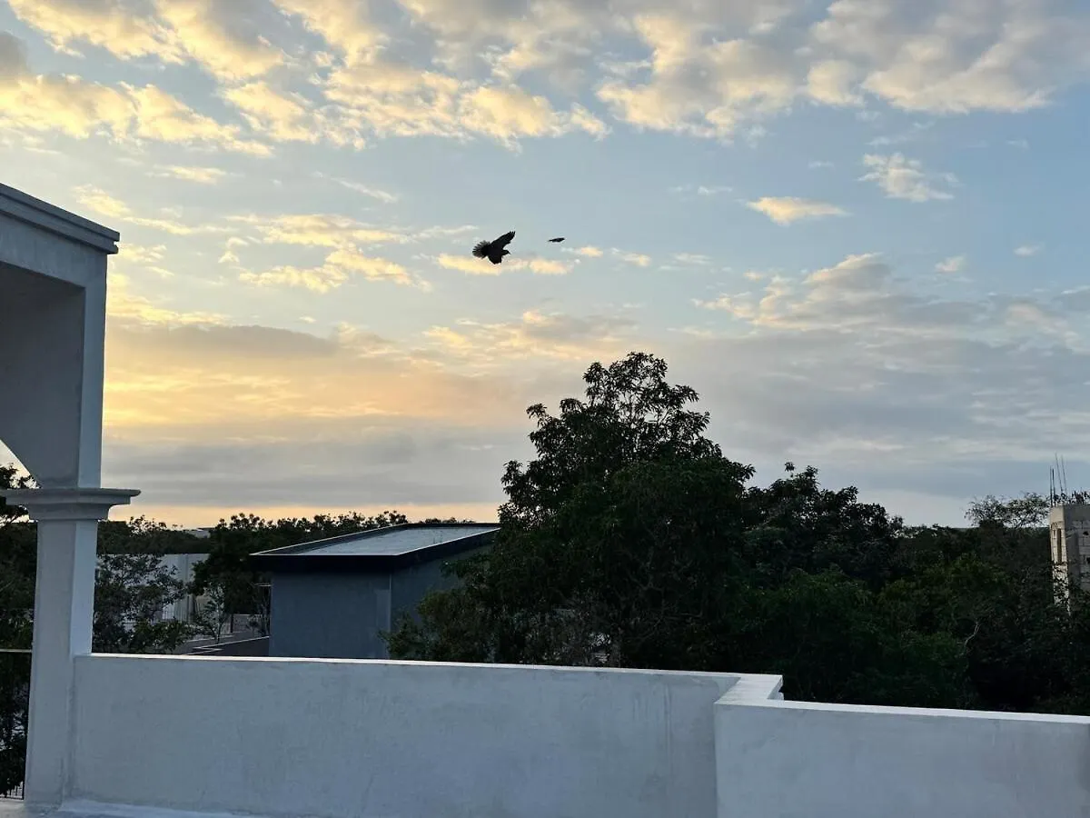 Apartmán Tulum Jungle Loft With Pool And Rooftop Near Beach And Cenotes! Fast Wifi! Private